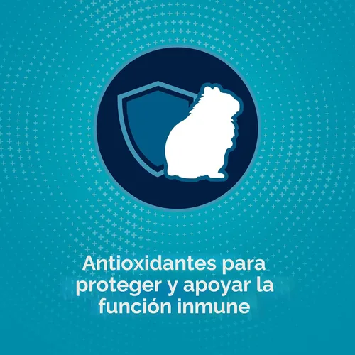 Vista 6 de Alimento para hámster, Kaytee Forti dieta pro salud, Púrpura