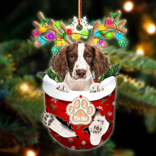 Vista 61 de NAZENTI Adorno Navideño de Bolsillo Personalizado de Affenpinscher en la Nieve, Adorno de Forma Acrílica de Perro, Adorno de Navidad 2023, Adorno