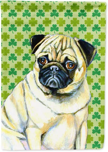 Vista 75 de Caroline's Treasures SS4442GF Affenpinscher Bandera de jardín con retrato de trébol del día de San Patricio para buzón, bandera decorativa