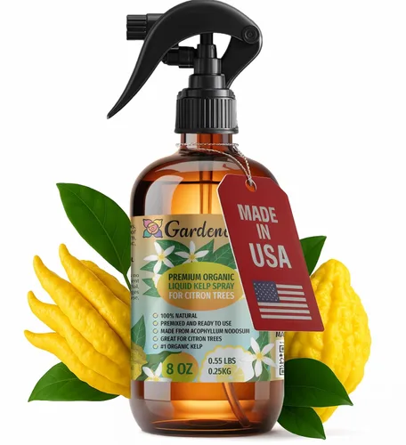 Vista 45 de GARDENERA Spray orgánico profesional de algas marinas para plantas de orquídeas – 8 oz – Rocío fertilizante de algas marinas y algas marinas
