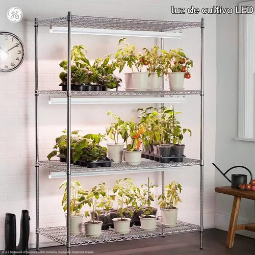 Vista 5 de GE Lighting - Luz LED para cultivo y horticultura