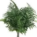 Vista 8 de Seda artificial de cuero de 18 pulgadas, hojas de helecho, vegetación floristería, calidad floristería, 7 hojas por tallo, 3 racimos en total 252