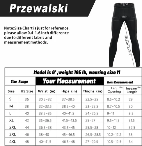 Vista 7 de Przewalski Pantalones de ciclismo para hombre con acolchado 4D, mallas largas para ciclismo