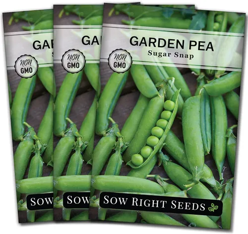 Vista 8 de Sow Right Seeds - Semillas de guisantes Sugar Snap para plantar - Guisantes tradicionales sin OMG para cultivar en huerto - Cultivo de temporada