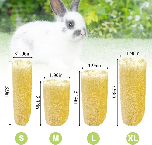 Vista 2 de BNOSDM Juguetes masticables de conejo, esponja natural, 6 piezas de dientes de conejo, juguete para moler conejo, golosinas ricas en fibra