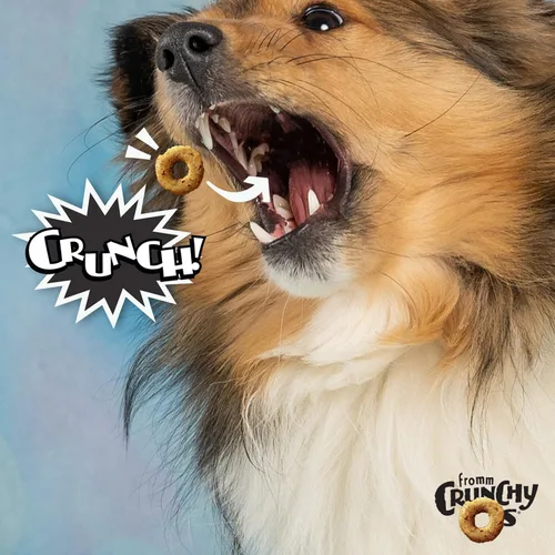 Vista 2 de Fromm Crunchy Os Bacon Blasters - Golosinas para perros con sabor a tocino, golosinas crujientes prémium para perros, receta de tocino, 6 onzas