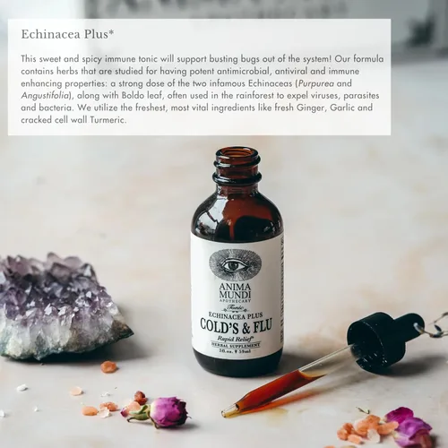 Vista 3 de Anima Mundi Apothecary Tónico para el resfriado y la gripe - Gotas de apoyo inmunológico con equinácea, ajo, raíz de cúrcuma y jengibre fresco