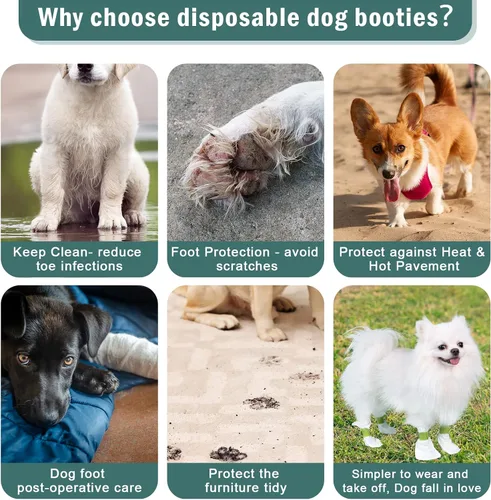 Vista 6 de Botines desechables impermeables para protección de patas, calcetines desechables para perros pequeños, protectores de patas de perro para perros