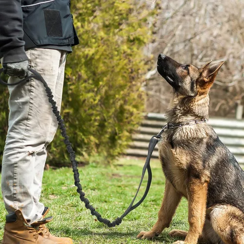 Vista 9 de rabbitgoo Correa táctica elástica para perro con absorción de golpes, correa de entrenamiento militar con 2 asas de control acolchadas para perros