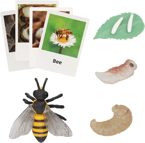 Vista 15 de Figuras del Ciclo de Vida de Animales Montessori con Tarjetas Flash, Juguetes de Figuritas de Animales Realistas, Juego Educativo de Emparejamiento
