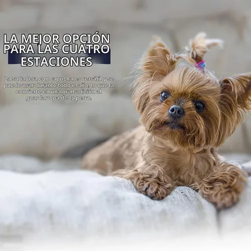 Vista 4 de Paiaite Sudadera Negra con Capucha para Perro Chihuahua: Mantén a Tu Cachorro Abrigado y Elegante con una Sudadera Estampada 'The Dog Face', Ropa