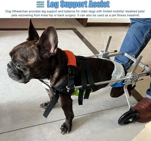 Vista 3 de Silla de ruedas para perros con patas traseras para discapacitados, silla de ruedas para perros pequeños para patas traseras, carritos para perros