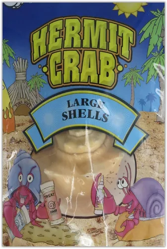 Vista 3 de Needzo Conchas de cangrejo ermitaño para crecimiento natural, conchas marinas grandes, paquete de 2 turbo, 2 pulgadas