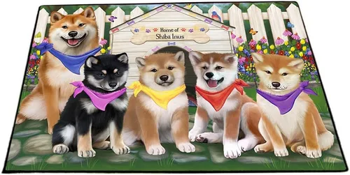 Vista 13 de Tapete antideslizante para puerta de mascotas, para interiores y exteriores del 4 de julio, para perros Shiba Inu, tapete lavable con retratos