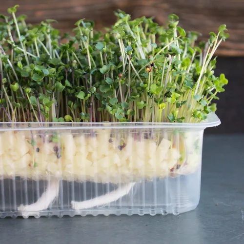 Vista 5 de Micro Mat Hydroponic Confetti - Bolsa de 1.5 libras - Medio de cultivo compostable para microgreens y pasto de trigo - Alta capacidad de retención
