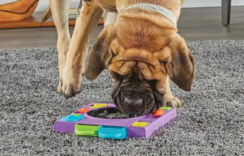 Vista 6 de Learning Resources Brightkins DJ Doggo - Comedero de rompecabezas para perros de alimentación lenta, juguetes de rompecabezas para perros, cuenco