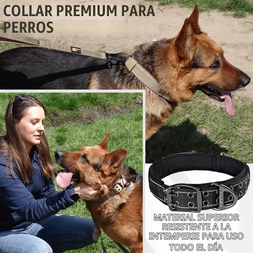 Vista 5 de ADITYNA Collar de perro resistente con asa – Collar grueso para perros grandes – ancho, reflectante, táctico, acolchado de neopreno suave – Collar