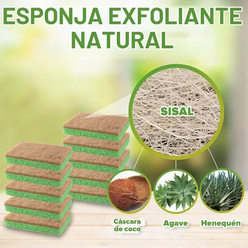 Vista 2 de SCRUBIT Paquete de 24 esponjas naturales – Esponjas naturales biodegradables compostables de celulosa y coco para platos, esponja de cocina