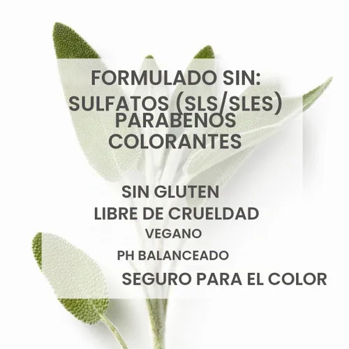 Vista 7 de SEVEN Gazar Diamond Serum, 3.2 onzas líquidas (paquete de 1)