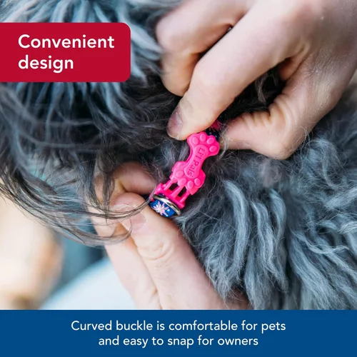 Vista 4 de Coastal Pet - Li'l Pals - Collar reflectante para perro, corazón rosa reflectante, 3/8 x 8 a 12 pulgadas