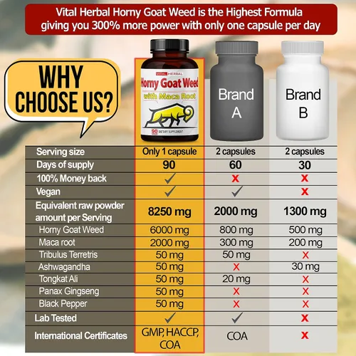 Vista 3 de Vital Herbal Horny Goat Weed Cápsulas para máxima fuerza con raíz de maca, tribulus, Ashwagandha Tongkat Ali Panax ginseng para hombres y mujeres