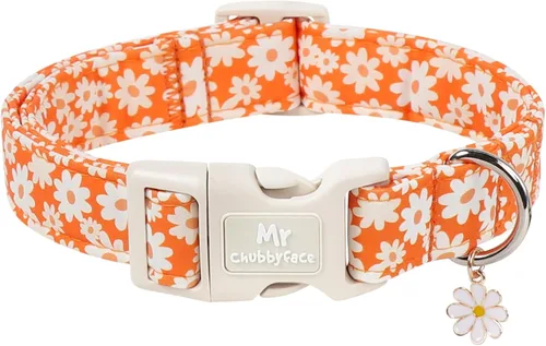 Vista 55 de ·MR.CHUBBYFACE· Collar de perro con lazo de San Valentín azul para perros Azul (Blue Bow)
