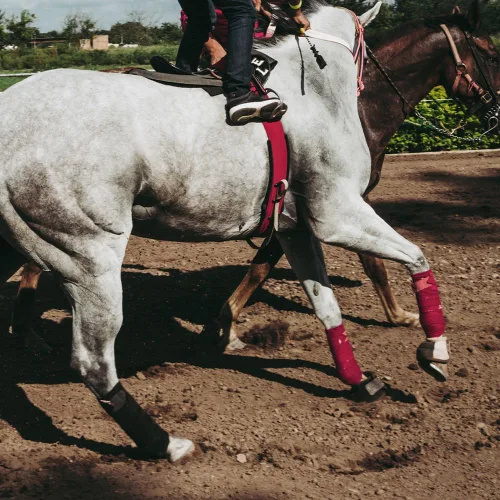 Vista 7 de Juego de 4 envolturas de polo de forro polar suave para caballo, vendaje ecuestre para piernas