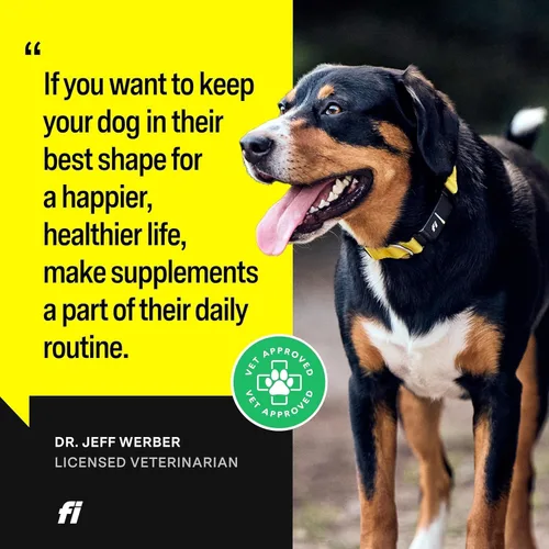 Vista 5 de Fi Suplemento en polvo 8 en 1 para perros Apoyo de salud para huesos, piel, digestión, inmunidad y suplemento articular para perros Formulado
