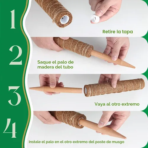 Vista 3 de Pisol Poste de musgo para plantas Monstera, soporte extensible para palitos