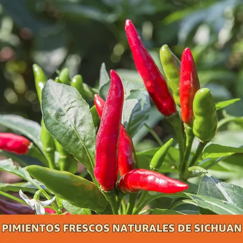 Vista 3 de Pimientos rojos secos de Yimi, especias picantes medias para la cocina multi 10,7 onzas