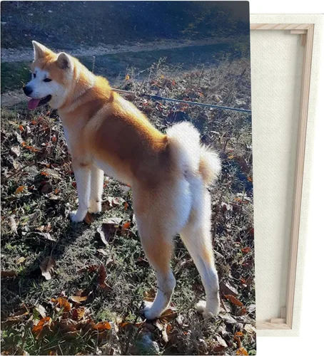 Vista 3 de lepni.me Crea tu propio lienzo personalizado con fotos familiares, decoración estética de pared, regalo personalizado para ella, él o amigos