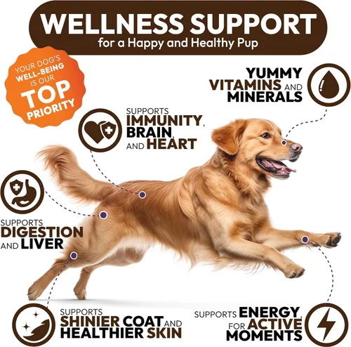 Vista 5 de Hongo de cola de pavo para perros – 250 masticables – Melena de león – Shiitake – Reishi – Protector de apoyo inmunológico Buddy – Suplemento