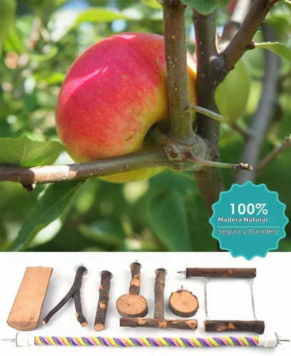Vista 6 de DBNESS - Perchas para pájaros, 8 piezas de madera natural, soporte de escalada para loros, juguetes para jaula de pájaros, accesorios para colgar