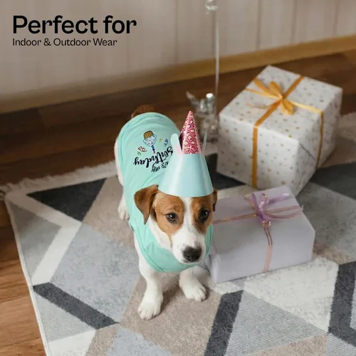 Vista 4 de Camiseta para perro Parisian Pet con palabras bordadas "Es mi cumpleaños" - Camiseta sin mangas para cumpleaños de perro - Chaleco ligero