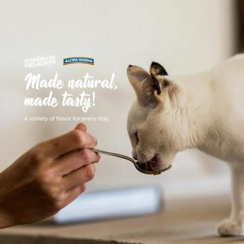Vista 8 de Wet Kitten Food, receta de salmón del río Southwest, alimento enlatado sin granos con alto contenido de proteínas para gatitos, nutrición