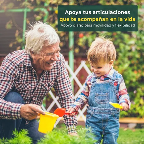 Vista 4 de Suplemento de apoyo articular de ASU – 300 mg de aguacate y soya insaponificables para comodidad de las articulaciones, movilidad y salud