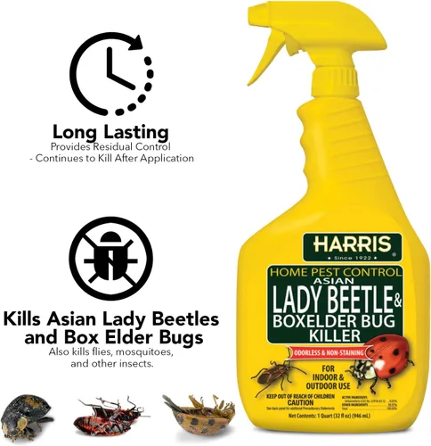 Vista 3 de Harris Asian Lady Beetle and Box Elder Killer, spray líquido con fórmula residual extendida sin olor y sin manchas (32 onzas)