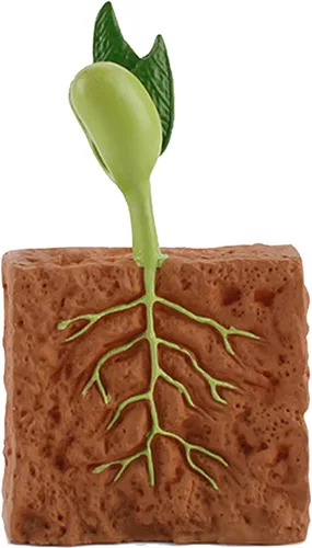 Vista 7 de 4 unids ciclo de vida plantas verdes juguete educativo PVC ciclo de crecimiento planta falsa juguete para niños herramienta de enseñanza