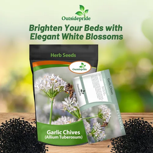 Vista 5 de Outsidepride Semillas perennes de ajo, cebollino, hierbas, jardín, para microverdes, brotes y cocina