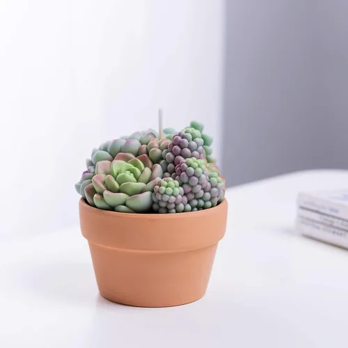 Vista 6 de Surtido suculento Pot vela perfumada para spa decoración del hogar regalo de boda