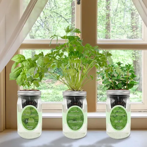 Vista 7 de Kit de cultivo de hierbas hidropónicas, tarro de masón de riego automático para jardín, kit de inicio de jardín de hierbas para interiores, jardín