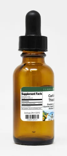Vista 4 de Carlina raíz glycerite Extracto de líquido (1: 5) – Sabor Fresa (1 oz, Zin: 523312), 1