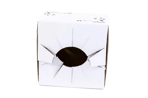 Vista 3 de Cajas de cartón para jarrón para entrega, cajas de floristería (8 x 8 x 4 pulgadas), paquete de 10