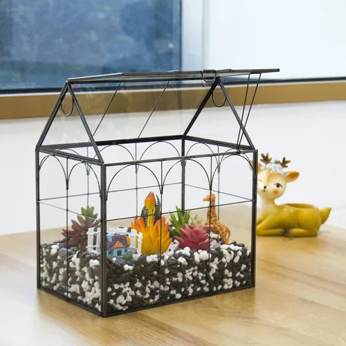 Vista 2 de Vidrio de terrario para invernadero de plantas grandes y altas con tapa, 8.7 x 5.9 x 10.6 pulgadas, kit de terrario de cactus suculentos