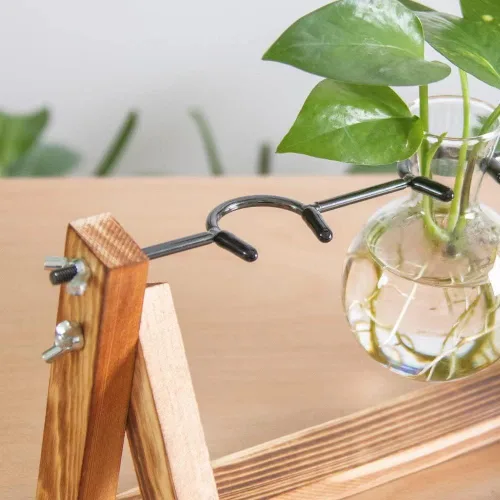 Vista 9 de Estación de propagación, terrario de plantas, regalos para amantes de las plantas para mujeres, soporte de corte de plantas, decoración del hogar