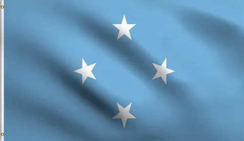 Vista 83 de DMSE - Bandera nacional beninesa beninesa de la República de África Occidental, 2 x 3 pies, 100 % poliéster, 100 % poliéster, resistente a los rayos