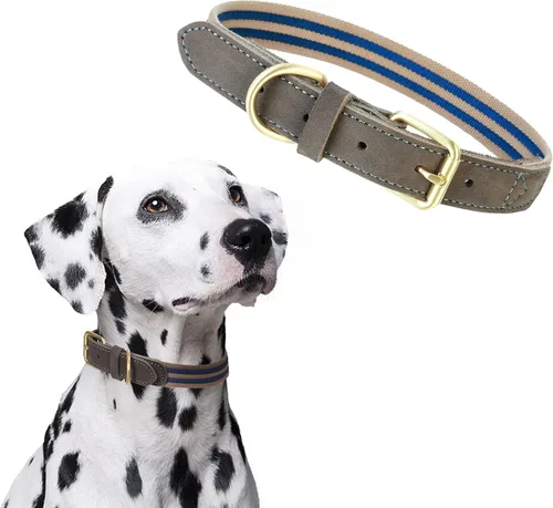 Vista 10 de Mile High Life Collar ajustable de polialgodón suave y fuerte con hebilla de liberación rápida para perros pequeños a grandes
