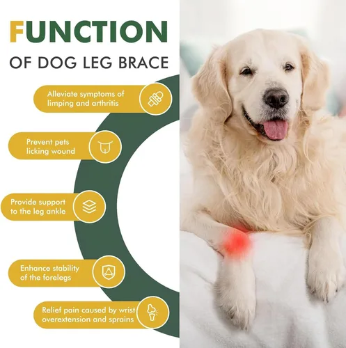 Vista 2 de Soportes para patas de perro, soporte para piernas delanteras, envolturas ajustables para articulaciones de perro con correas reflectantes que