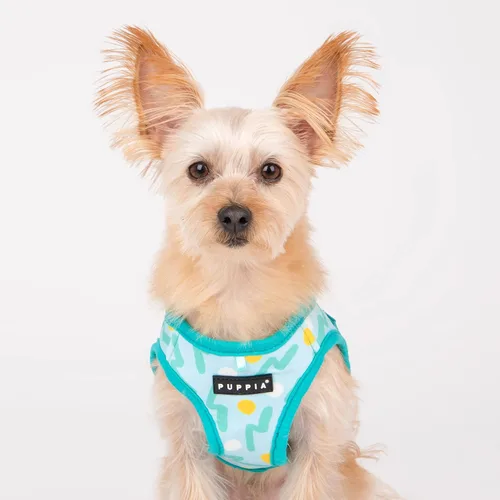 Vista 5 de Puppia Arnés para perro sobre la cabeza de moda de primavera y verano, Aqua_Fete, talla M