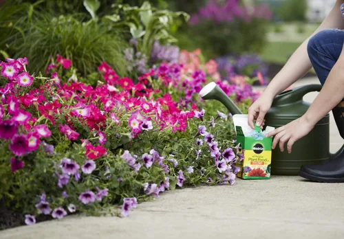 Vista 3 de Miracle-Gro Alimento soluble en agua para plantas multiusos - Fertilizante para todas las plantas de interior o exterior, incluyendo rosas, flores